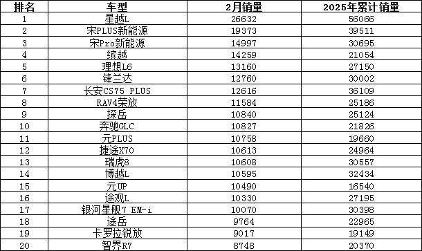 2025年2月汽车销量排行榜 Model Y销量暴跌