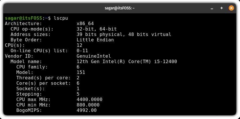 如何在 Linux 中查看 CPU 详细信息? 3招轻松查看CPU型号、核心数和温度