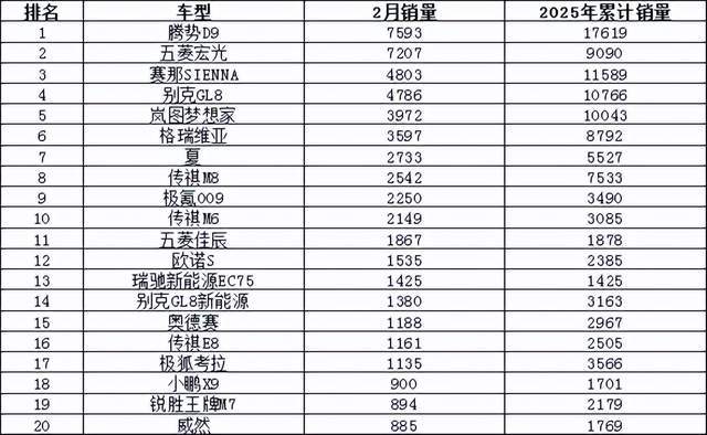 2025年2月汽车销量排行榜 Model Y销量暴跌