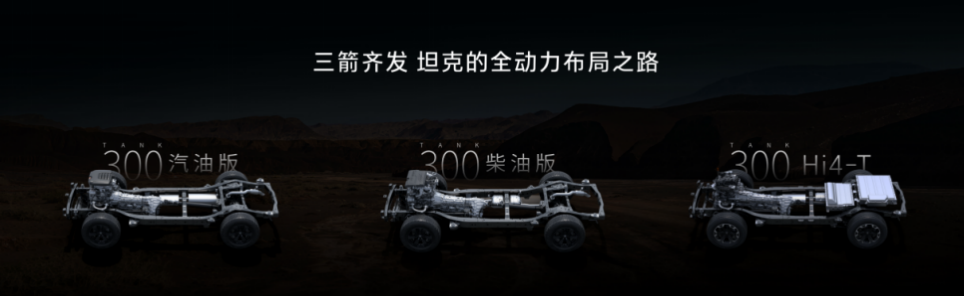 19.98-24.98万元，2025款坦克300三箭齐发