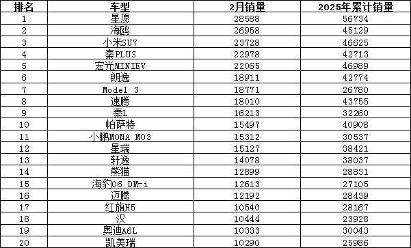 2025年2月汽车销量排行榜 Model Y销量暴跌