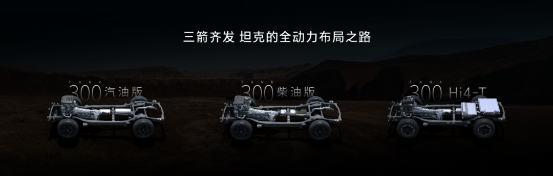 售价19.98-24.98万元，2025款坦克300正式上市